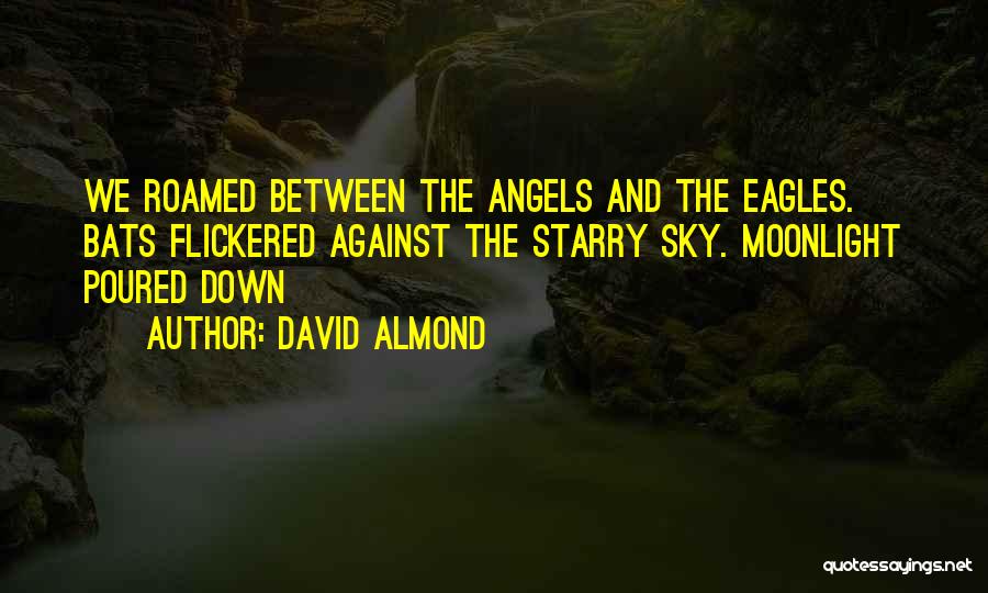 David Almond Quotes 1001151