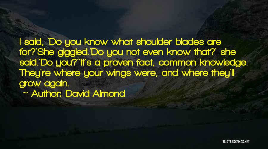 David Almond Quotes 1009703