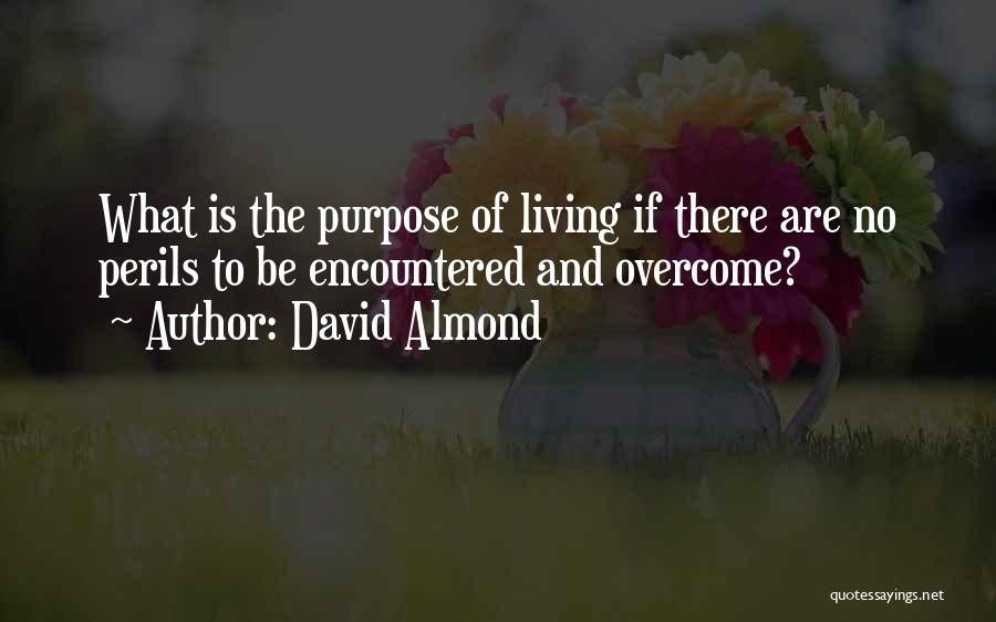 David Almond Quotes 1627250