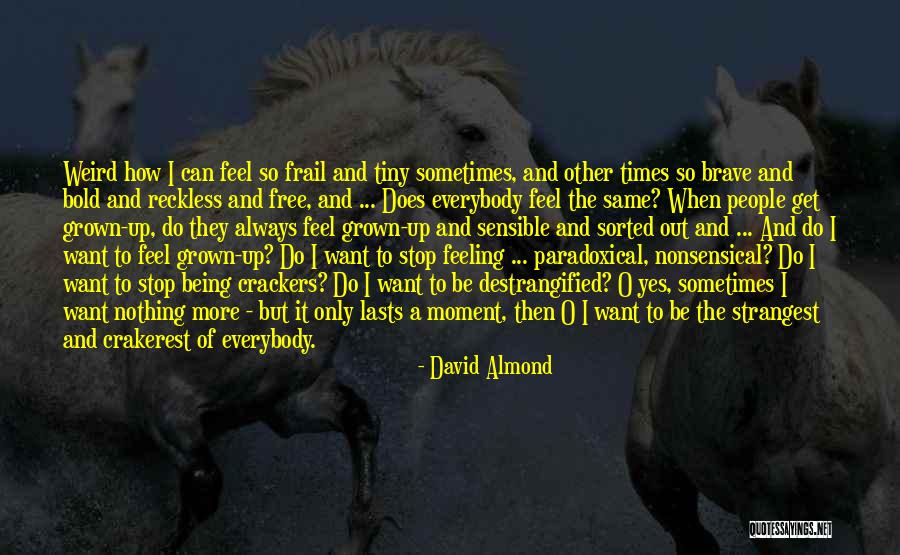 David Almond Quotes 1895953