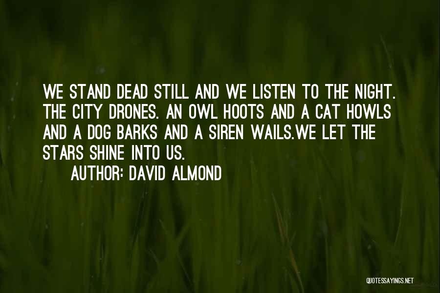 David Almond Quotes 516534