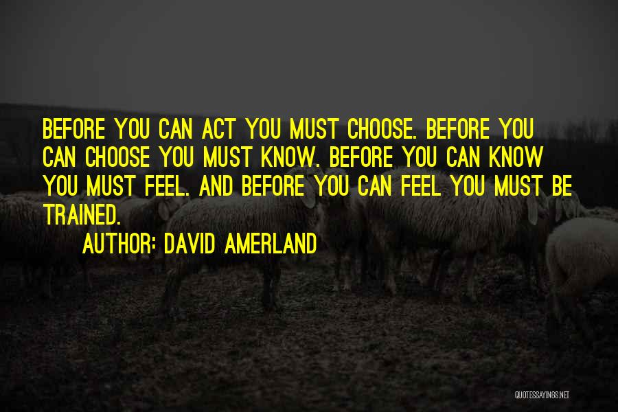 David Amerland Quotes 1869448