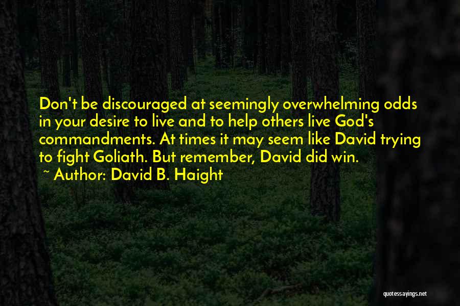 David And Goliath Quotes By David B. Haight