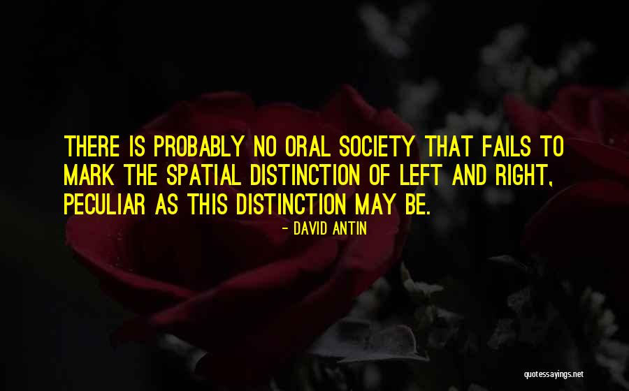 David Antin Quotes 1004241 David Antin Quotes 1004241