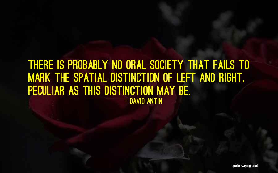 David Antin Quotes 1004241