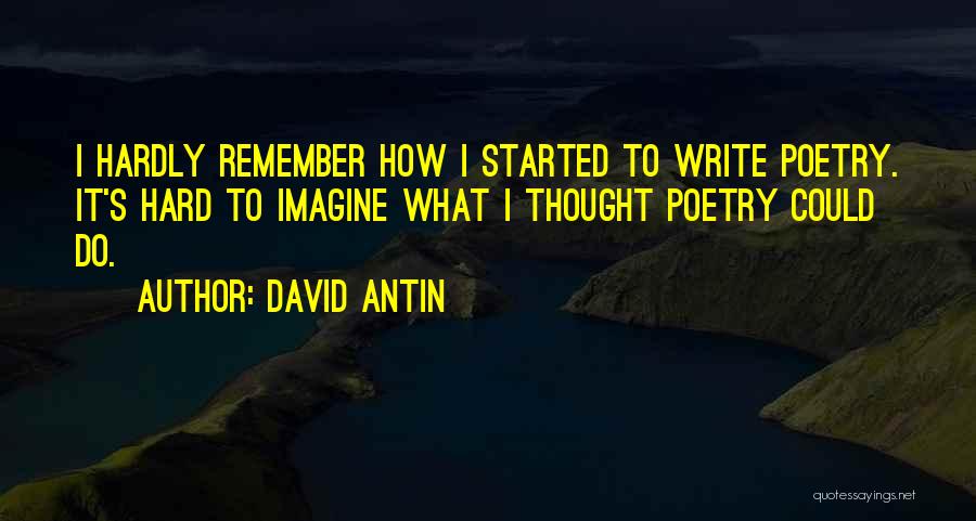 David Antin Quotes 1222191