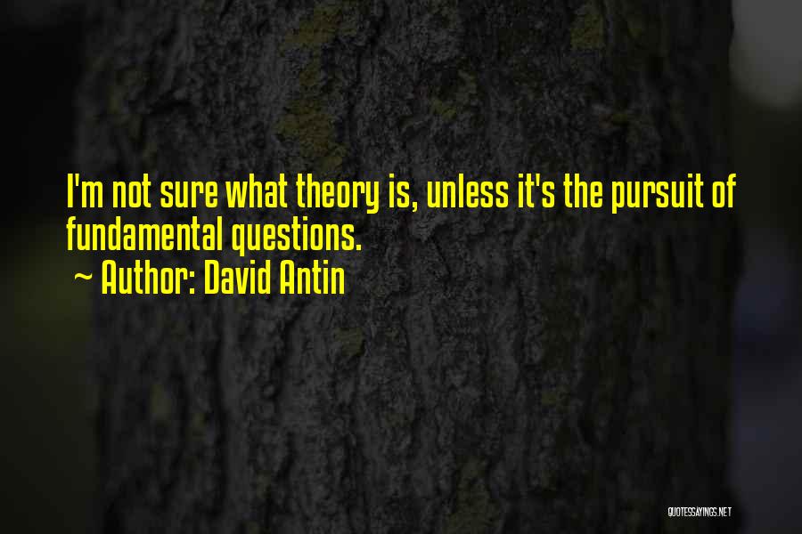 David Antin Quotes 1568481