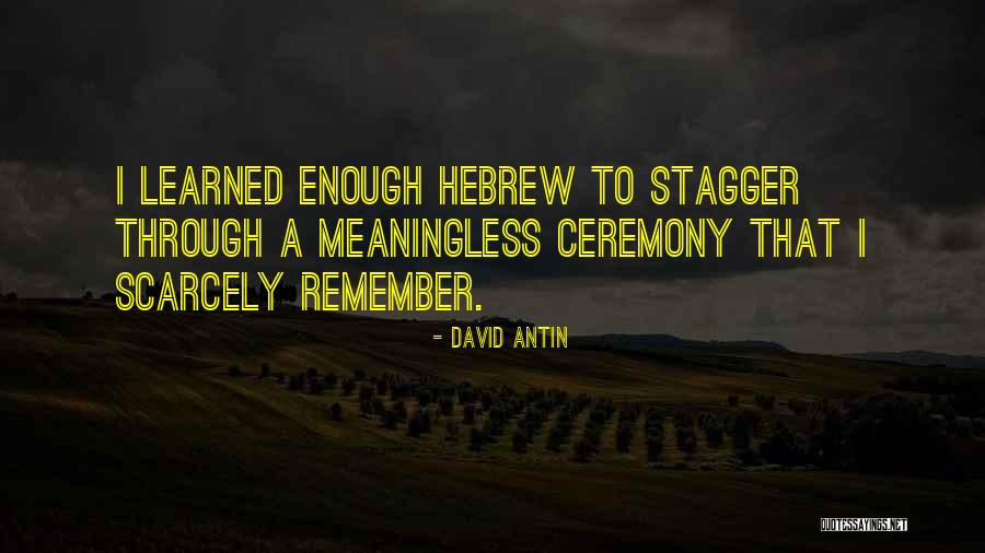 David Antin Quotes 296367 David Antin Quotes 296367