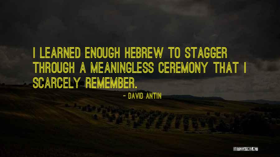 David Antin Quotes 296367