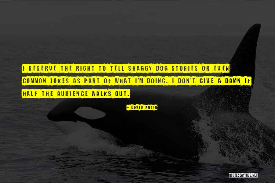 David Antin Quotes 721199 David Antin Quotes 721199