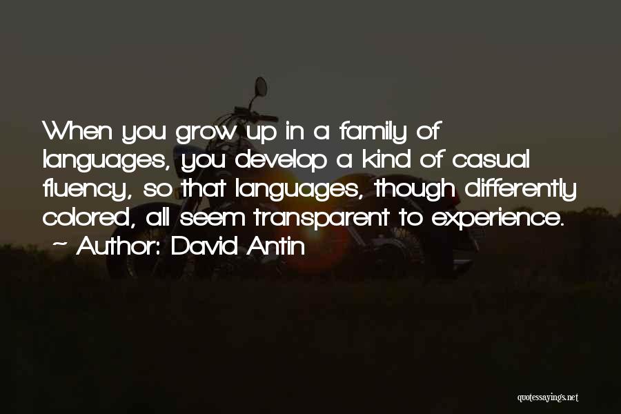 David Antin Quotes 964260