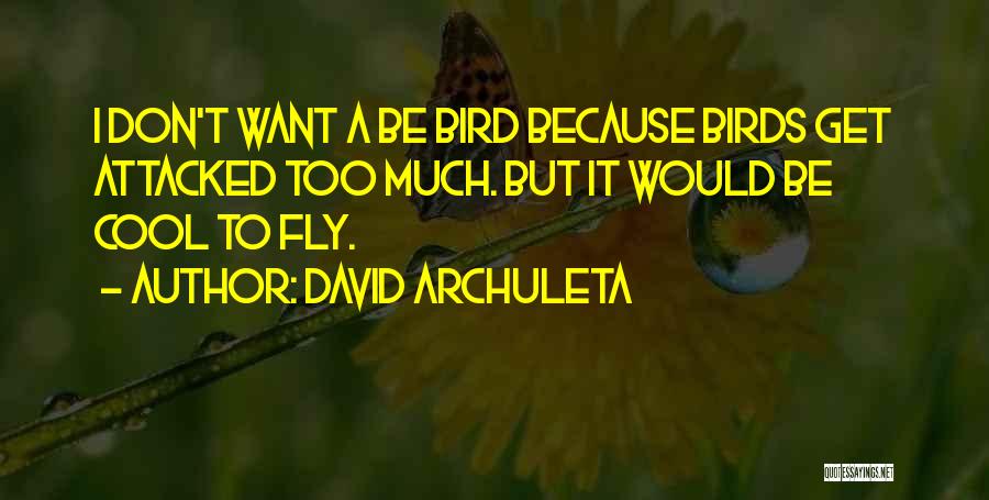 David Archuleta Quotes 101727