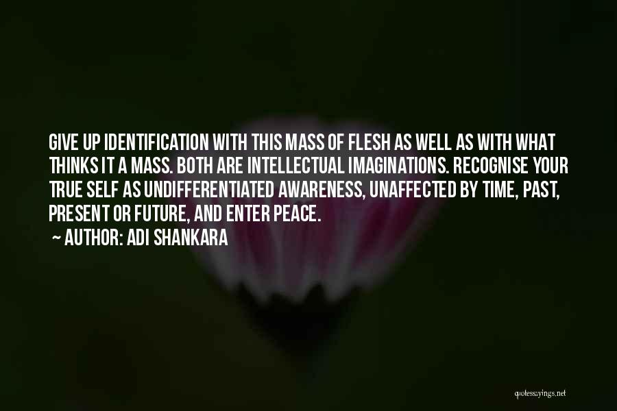 David Assael Quotes By Adi Shankara