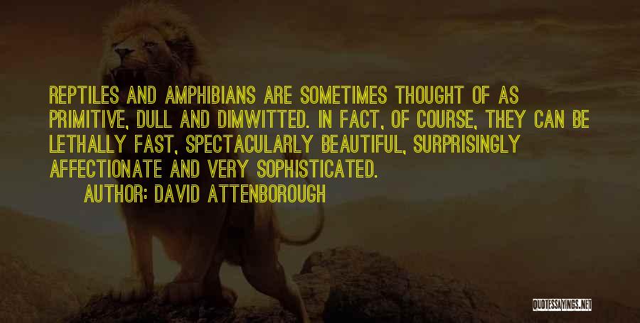 David Attenborough Quotes 1136454