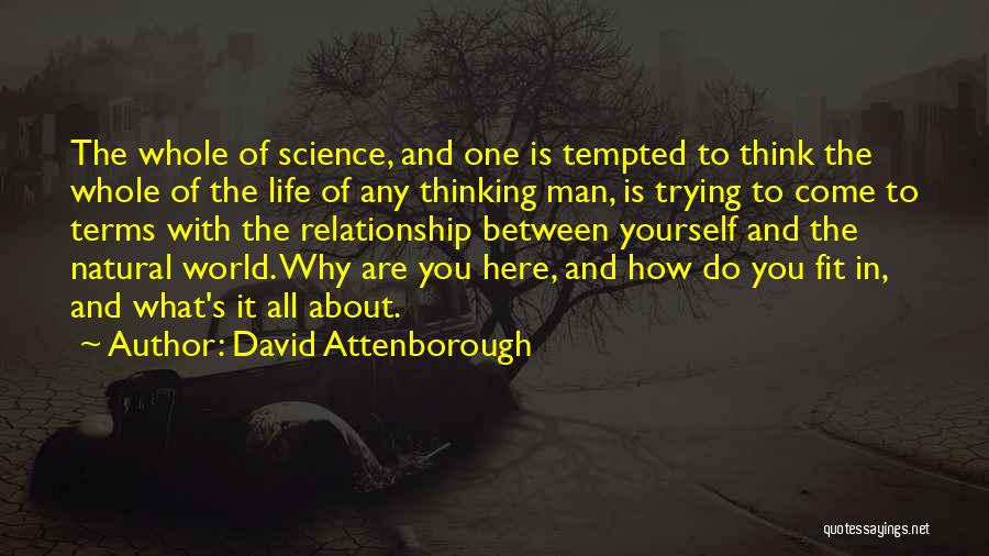 David Attenborough Quotes 1177796