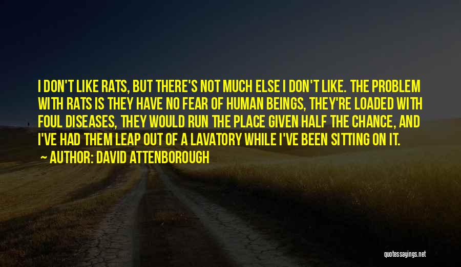 David Attenborough Quotes 1238278
