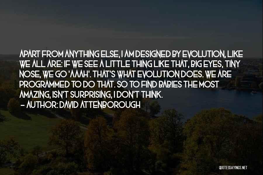 David Attenborough Quotes 1367407