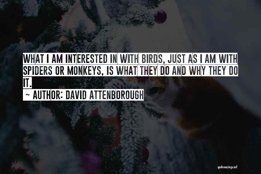 David Attenborough Quotes 1510775