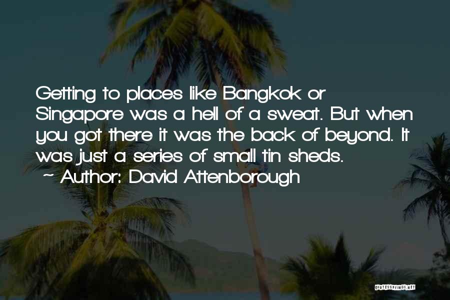David Attenborough Quotes 1705969