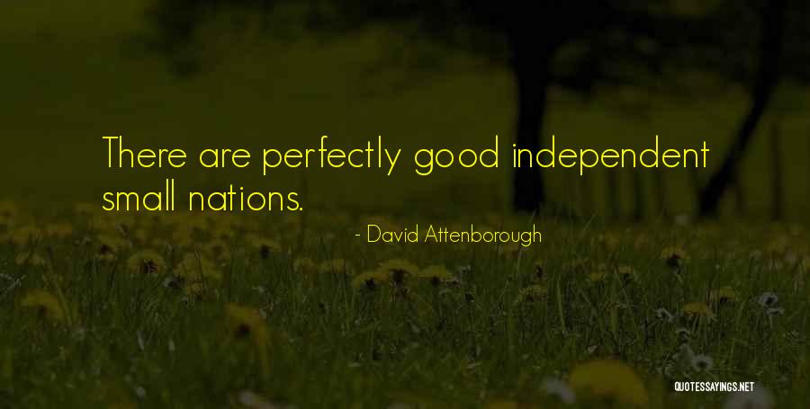 David Attenborough Quotes 1870520