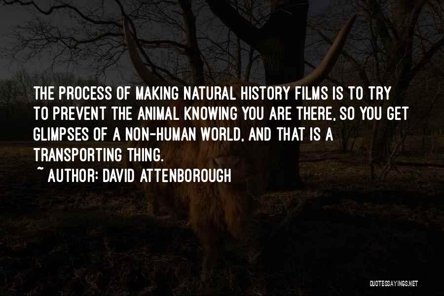 David Attenborough Quotes 1907819