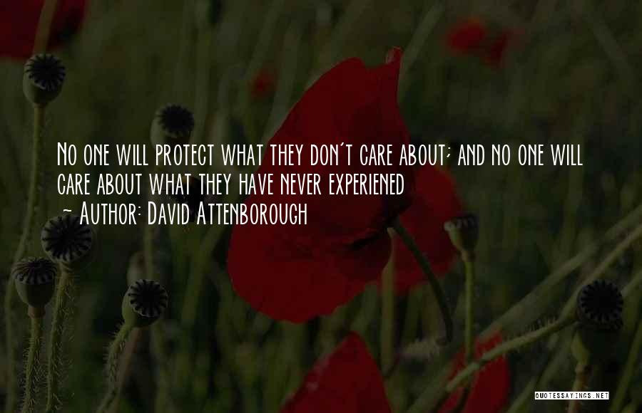 David Attenborough Quotes 282171