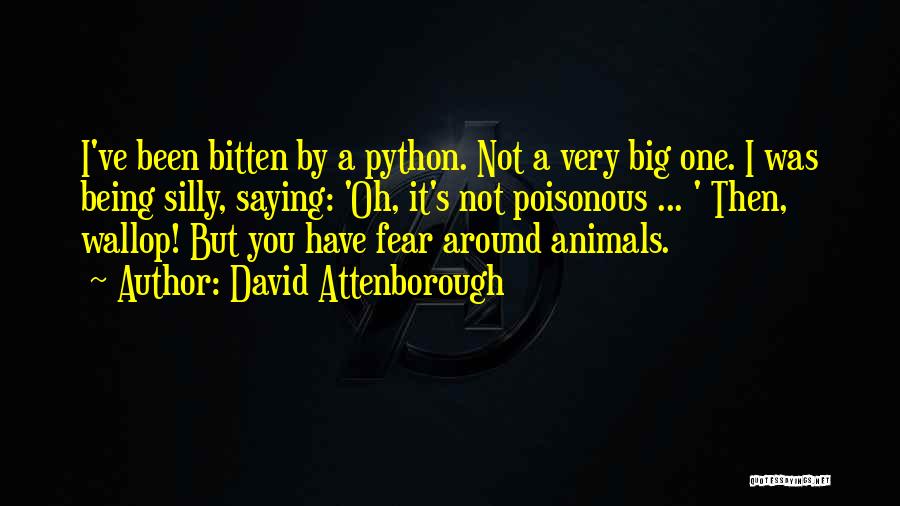 David Attenborough Quotes 365642