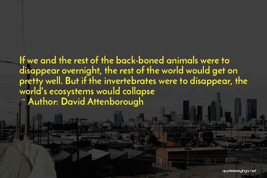 David Attenborough Quotes 738880