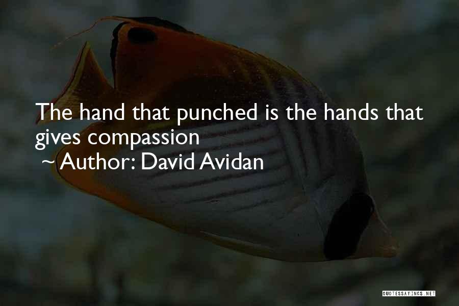 David Avidan Quotes 781851