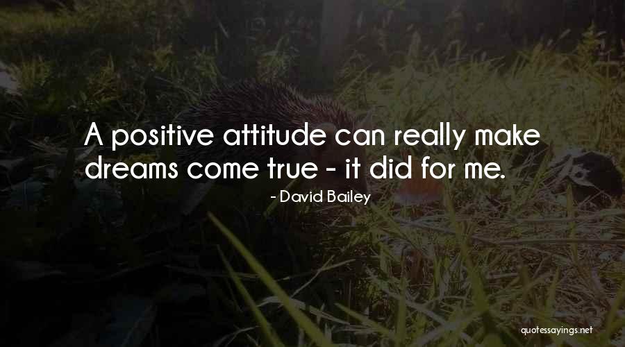 David Bailey Quotes 1532054