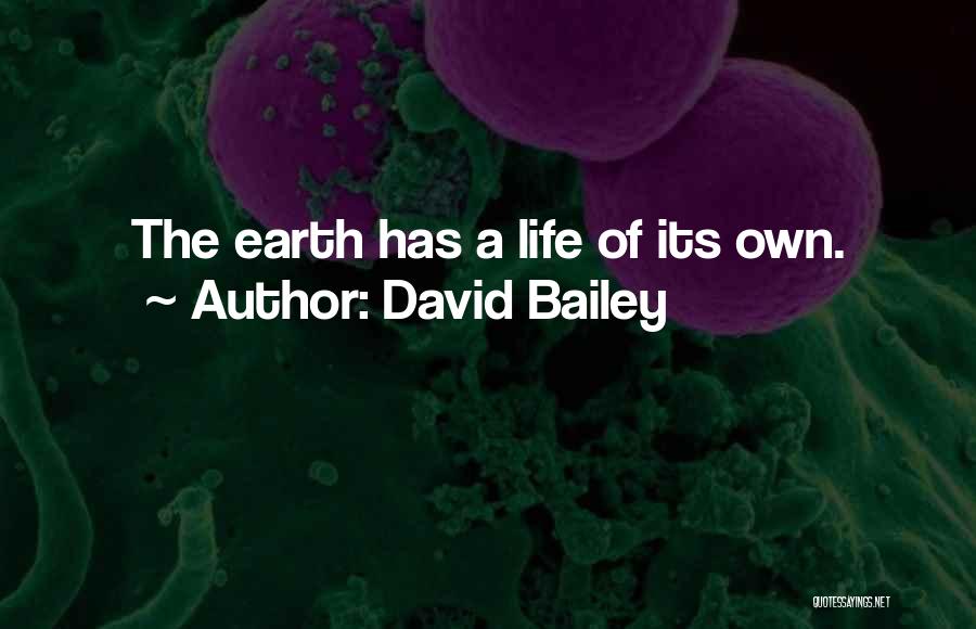 David Bailey Quotes 388080