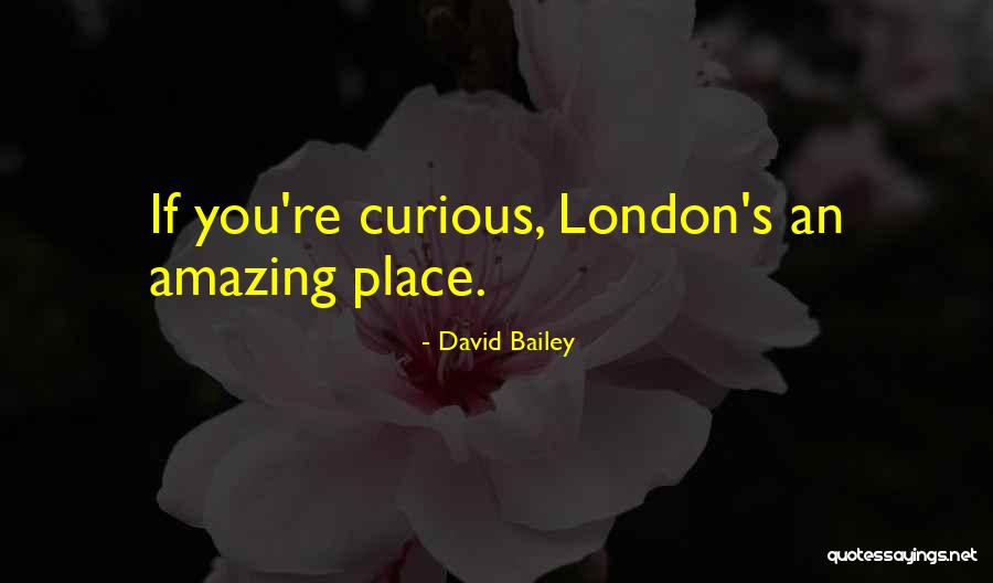 David Bailey Quotes 477553