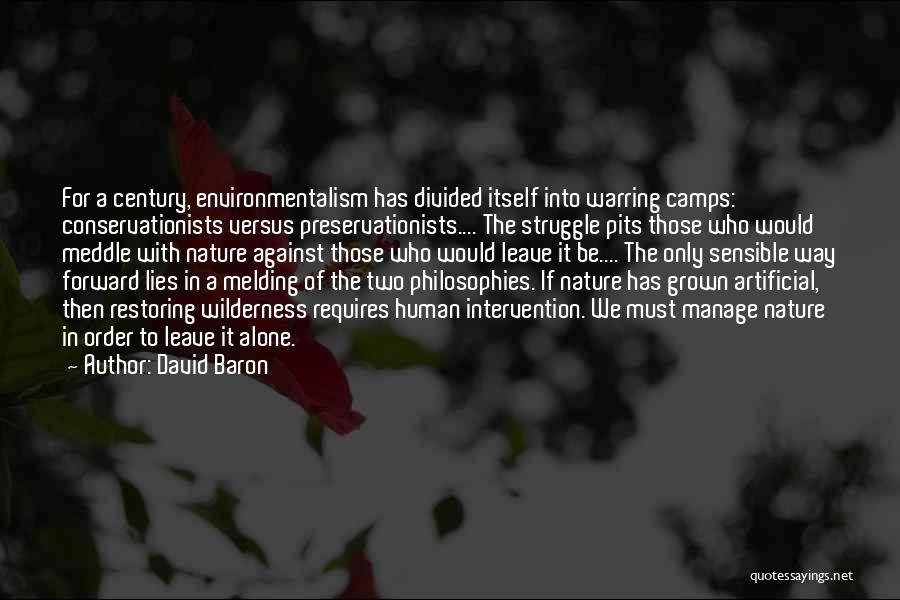 David Baron Quotes 2266884