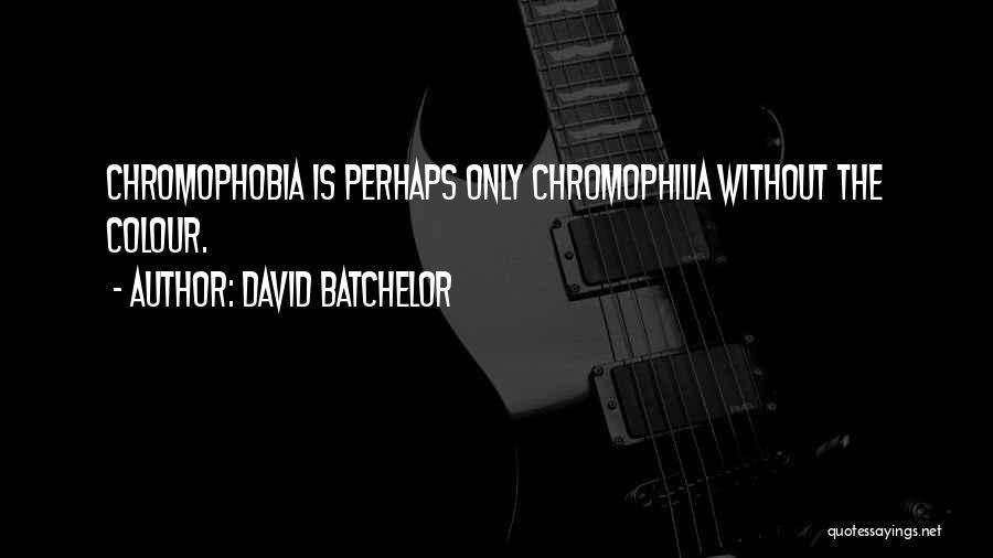 David Batchelor Quotes 1510106