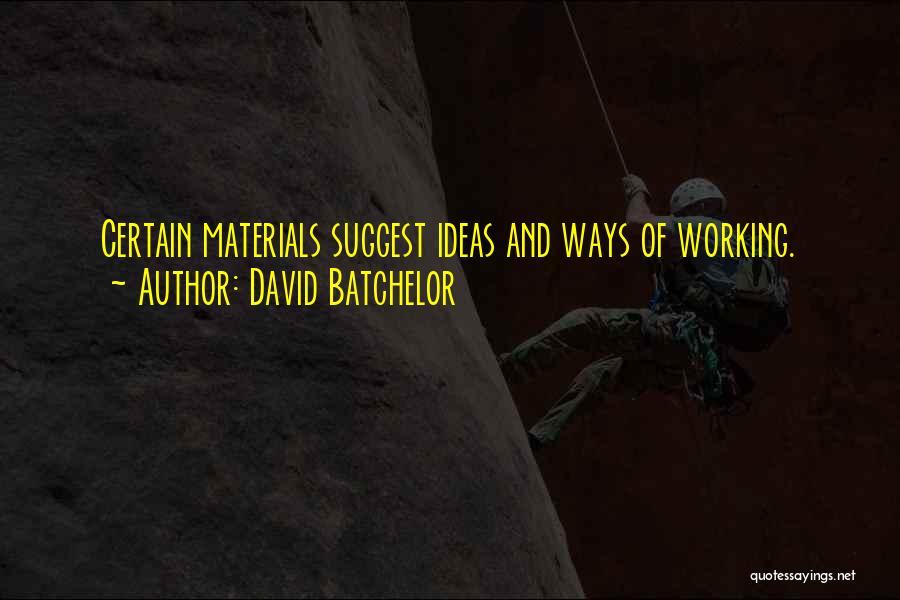 David Batchelor Quotes 334775