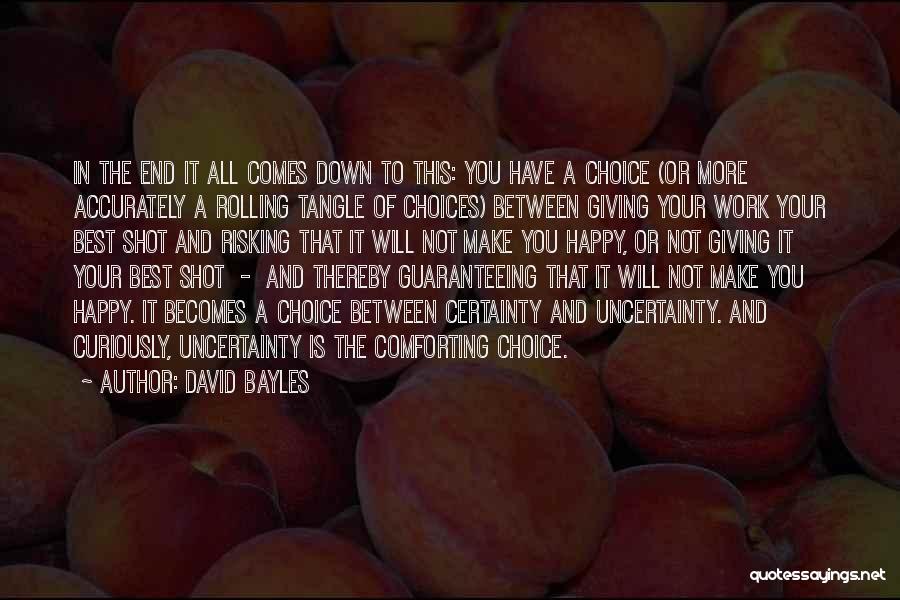 David Bayles Quotes 1078473