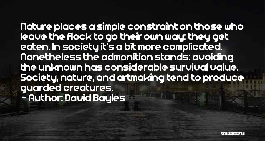 David Bayles Quotes 1267047