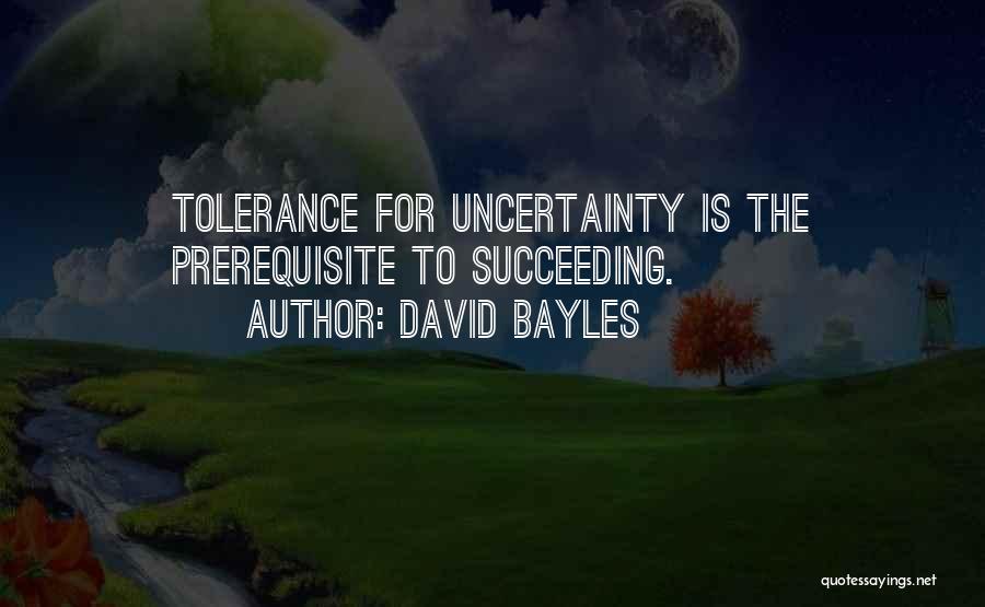 David Bayles Quotes 1306045