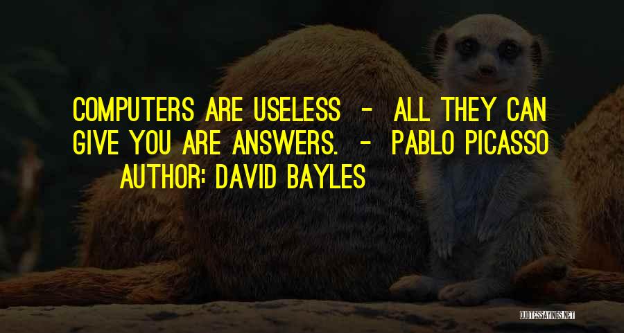 David Bayles Quotes 1834498