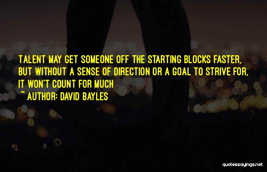 David Bayles Quotes 2012386