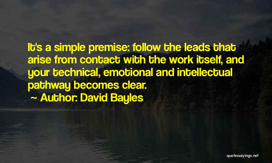 David Bayles Quotes 2135802