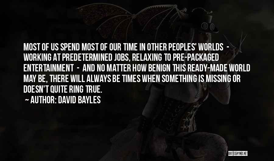 David Bayles Quotes 768249