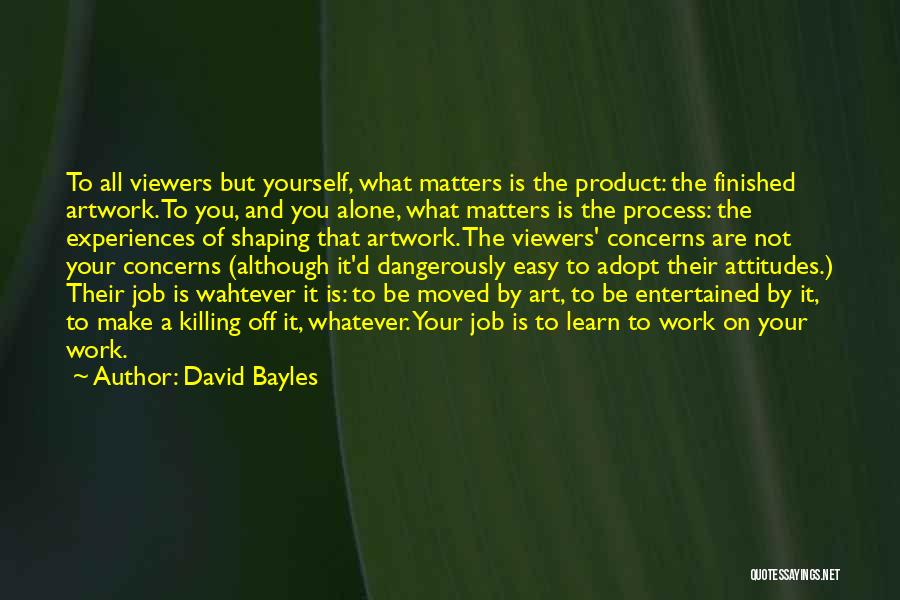 David Bayles Quotes 909524