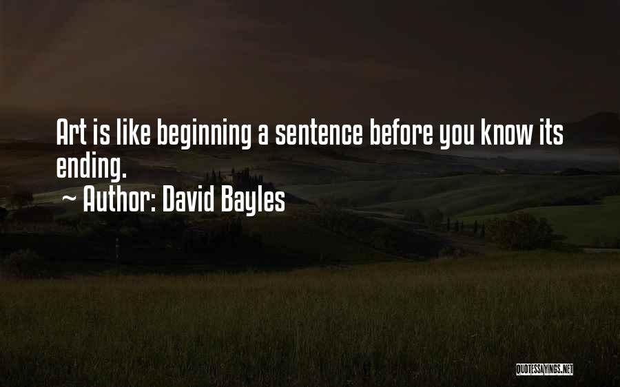 David Bayles Quotes 962495