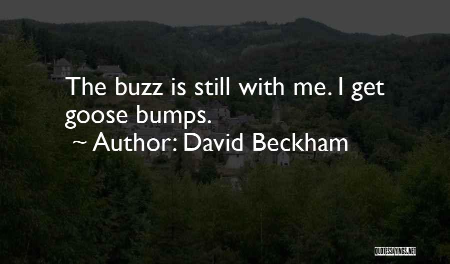 David Beckham Quotes 290290