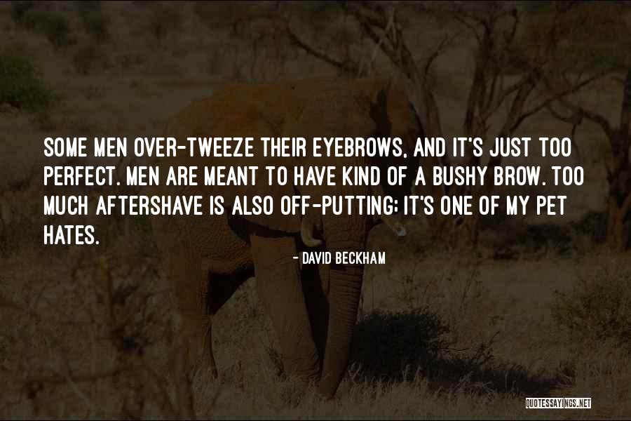 David Beckham Quotes 802740 David Beckham Quotes 802740