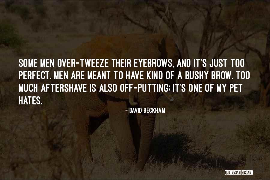 David Beckham Quotes 802740