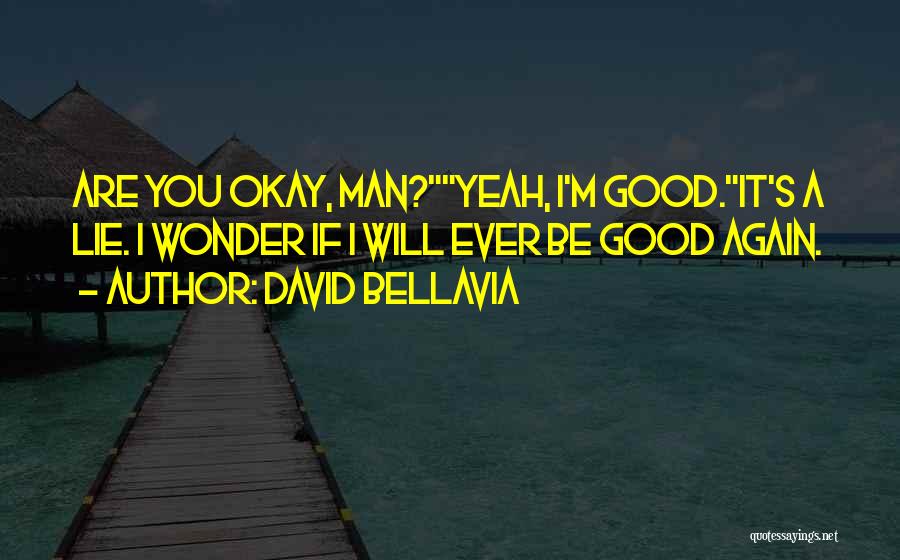 David Bellavia Quotes 1865147