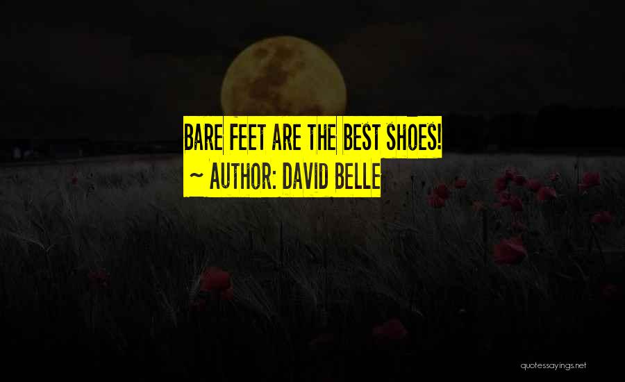 David Belle Quotes 1660048