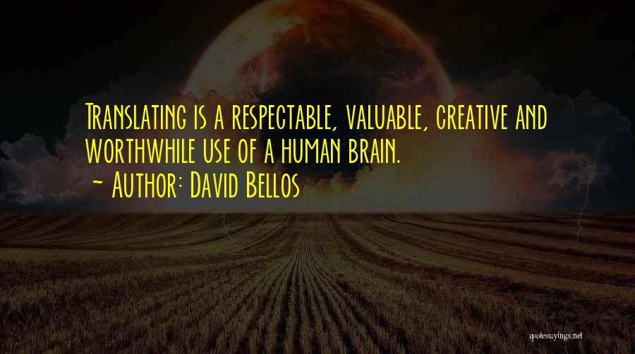 David Bellos Quotes 1803735
